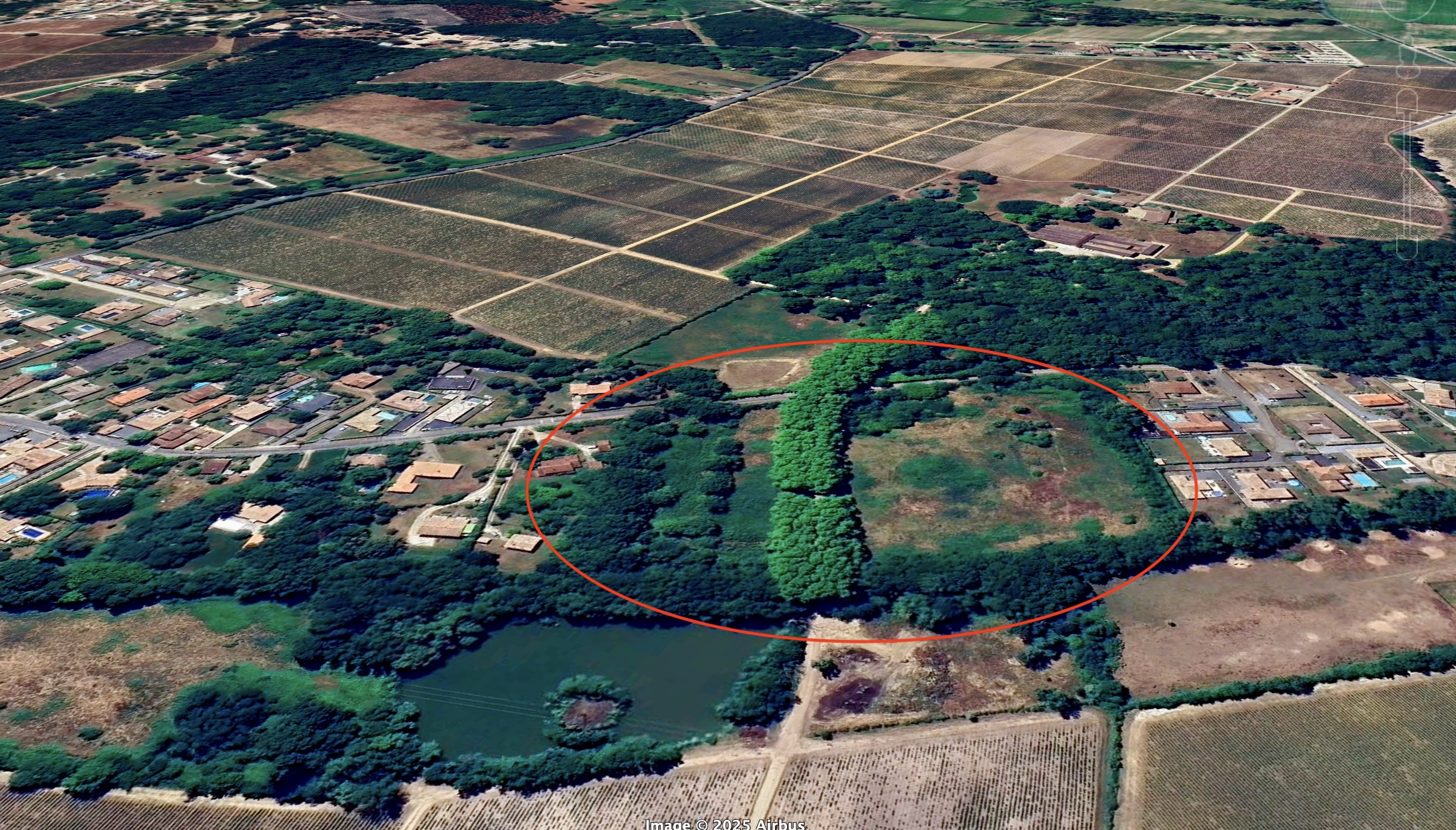 Vue aérienne des vignobles