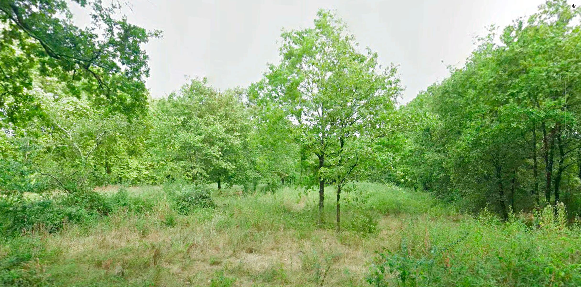 Plan de masse Les Hauts de Martillac